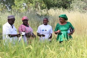 UNIDO WACOMP-GM trains NPPO staff on phytosanitary inspection