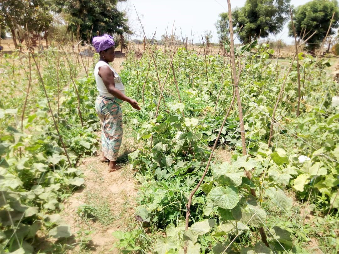 United Purpose, partners hold farmer’s convergence