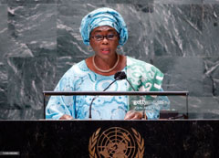 VP says Africa is grappling with negative effects of conflicts, insecurity
