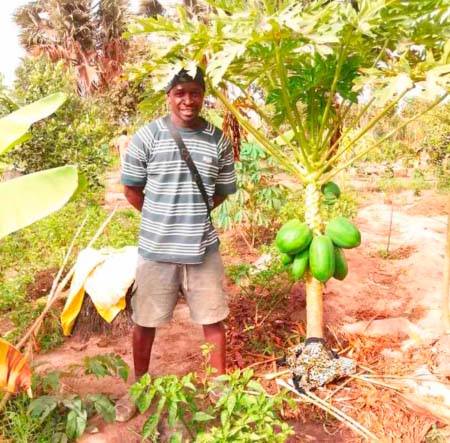Young Kartong horticulturist: GYIN Gambia is a “gateway” to unlimited opportunities