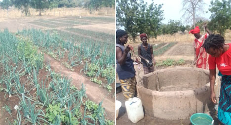 Water crisis affects Fatako women gardeners in URR