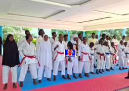 Waza United Karate Club 