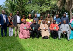 West African CSOs