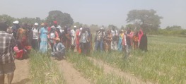 AfDB delegation visits Kalagi 5 Hectare Women Garden