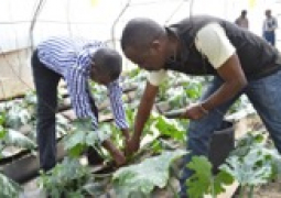 Youth Engagement in Agriculture 