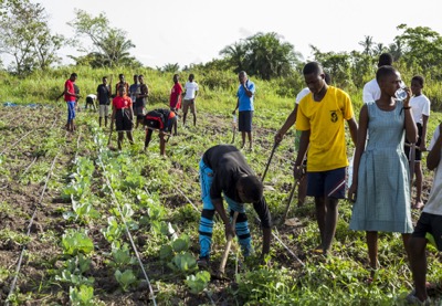 Youth and Women in agri-business
