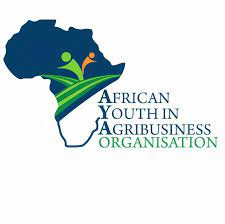 Agriculture, a lucrative business for African youth