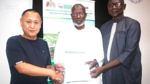 D13.93M investment to boost rice production in URR