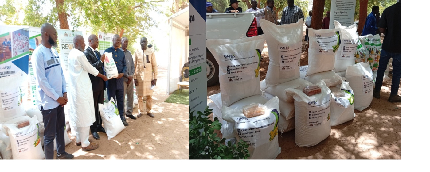 Gov’t distributes ‘certified seeds’ to farmers worth D241M 