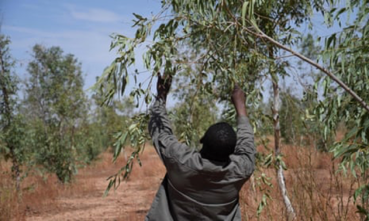 The climate is already collapsing in Africa – but its nations have a plan
