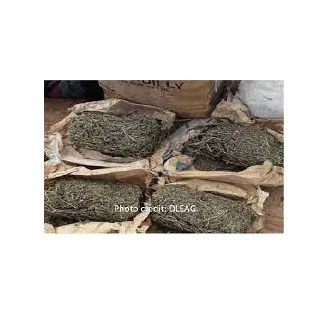5 suspects arrested with suspected cocaine, cannabis