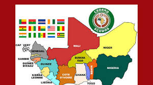 ‘ECOWAS citizens in Gambia pay D1,900 annually except’…