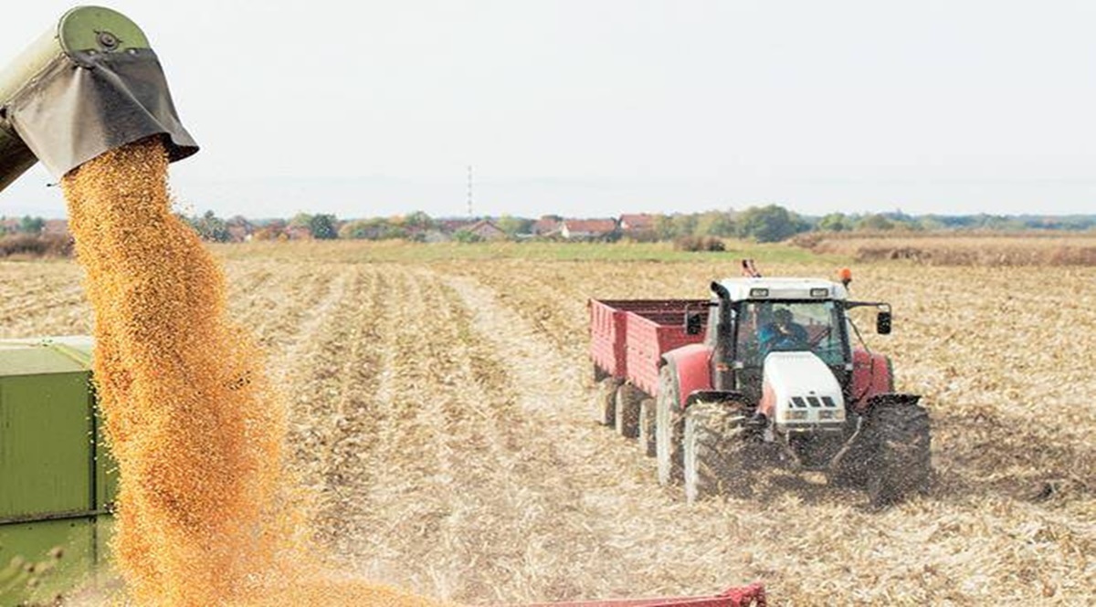 Some CRR farmers may skip rainy season due to lack of seeds, fertiliser
