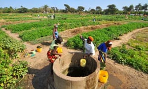 Advocacy group against irregular migration leading farming initiative for youth