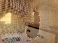 UDP Banjul South NAM reveals how a man attempted to set his house on fire