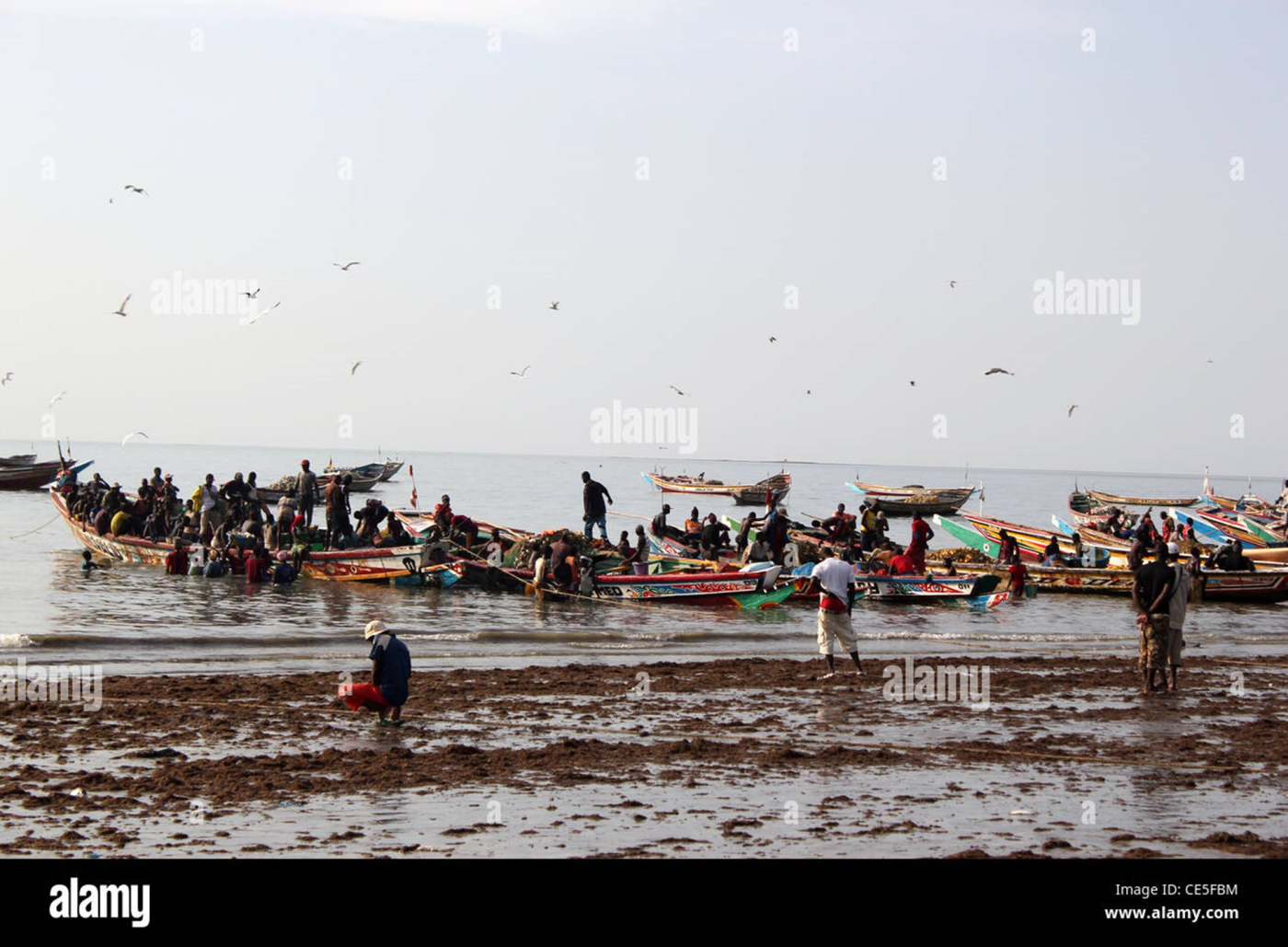 Coastal communities push for shared control of fish landing sites 