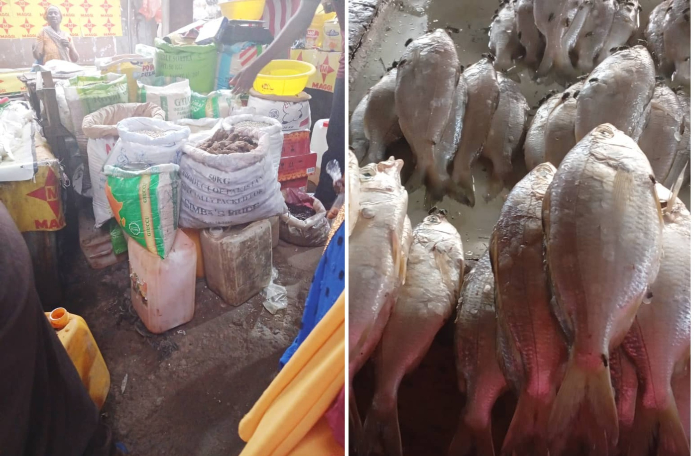 Gambia’s food crisis: Families buckle under soaring market prices
