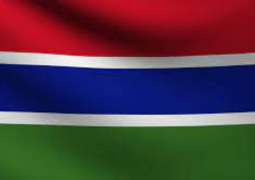 gambian flag