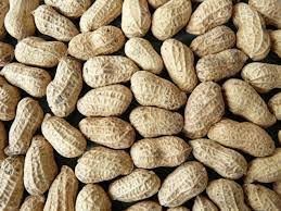 Gambia, Senegal maintain last year groundnut prices