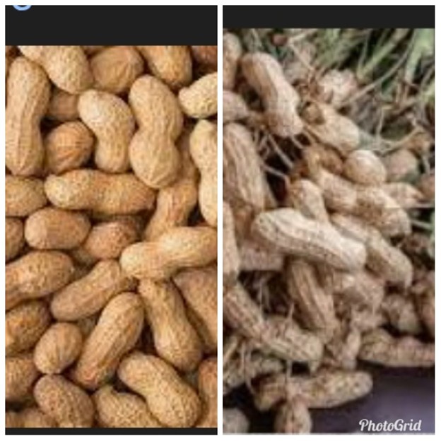 CRR farmers raise concern over groundnut farm-gate price