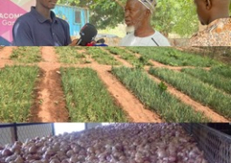 horticultural production