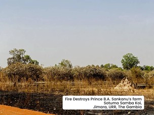 Inferno destroys cashew farm in URR