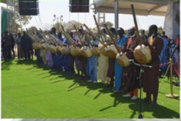 Janjanbureh bicentenary festival marks achievements for Gambia
