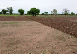land dispute