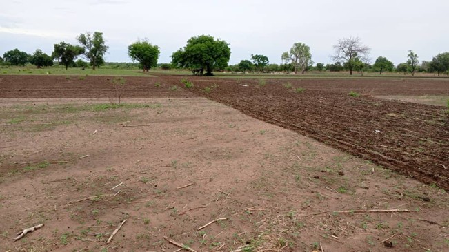 Police arrest 7 in fresh land dispute in CRR