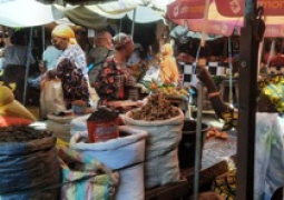 market vendors  v2