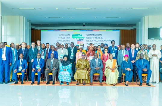 VP Jallow says no nation grows with disappeared natural resources