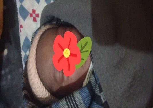 Newly-born baby found alive on street in Gunjur