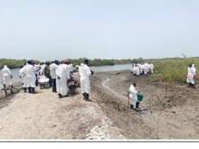NEA, NDMA cleanse Oil Spillage in Kunkujang
