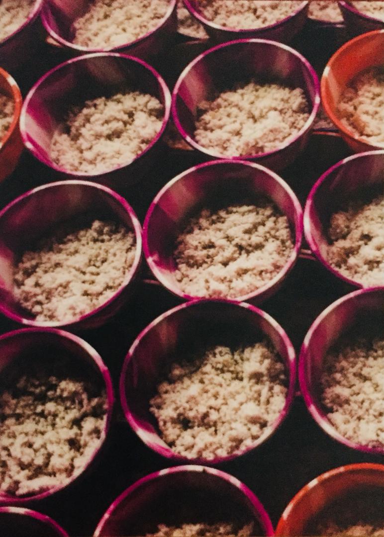 Mile 2 inmates concern over poor diet, others