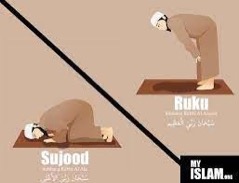 PRAYERS: Obligatory acts of prayer, Ar-Ruku’ (Bowing Down) 