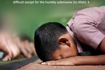 The Prostration During the Qur’anic Recitation 