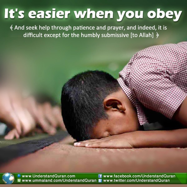 The Prostration During the Qur’anic Recitation 
