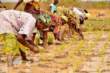 Gambian youth in active poverty reduction drive