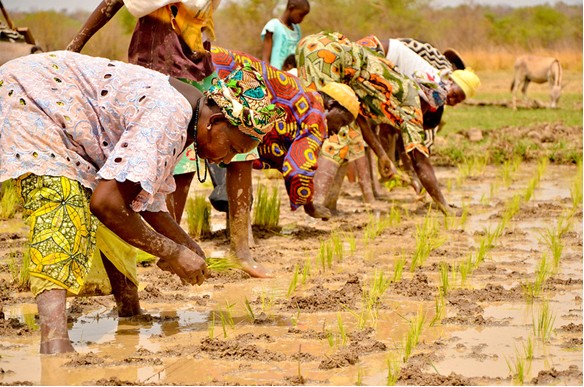 Gambian youth in active poverty reduction drive