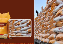 rice1