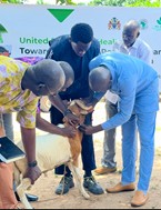 Gambia embarks on mass vaccination to eradicate deadly small ruminant disease