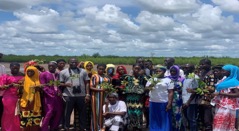 FAO, partners sensitise rural Gambia on mangrove revival