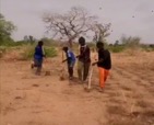Farming in shambles as rural urban migration continues