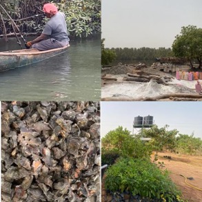 FAO visits project sites as beneficiaries share positive remarks