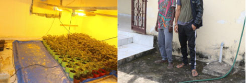 Briton who   disguises as   philanthropist   arrested with   skunk cannabis
