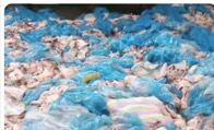 Police investigate collection of spoiled chicken