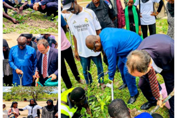 Turkish envoy joins UTG's VC Robinson, students in mass tree planting