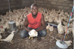 Financing for entrepreneurship and job creation in Gambia