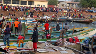 Youth engagement in Fisheries and Agriculture
