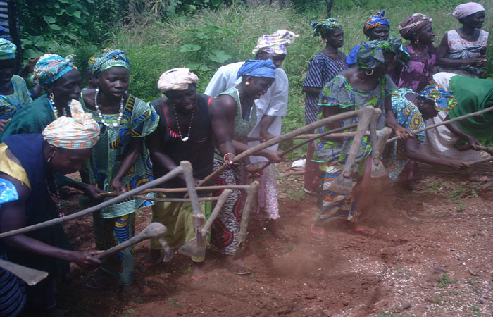 HungerFREE Women Declaration: The Gambia 